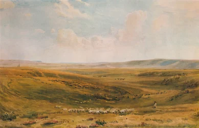 Le Downs vicino a Lewes con la scogliera di Seaford in lontananza