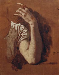 Studio di braccio