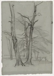 Studio di Paesaggio con Alberi