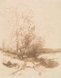 In una strada di campagna