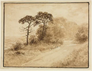 Paesaggio con strada tortuosa