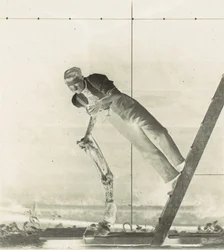 Uomo su una scala con la gamba di un cavallo sezionata, anni 1880