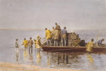 Raccogliere la rete