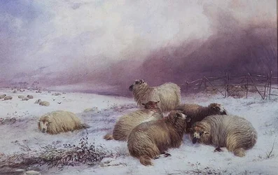 Paesaggio invernale con pecore