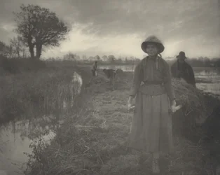 Poling the Marsh Hay, 1886 (foto)