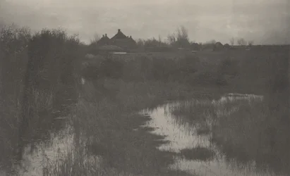 La frangia della palude, 1886 (foto)