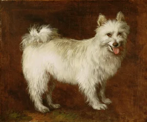 Cane Spitz, c.1760-70