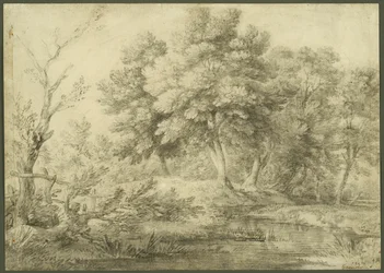 Paesaggio boscoso con ruscello