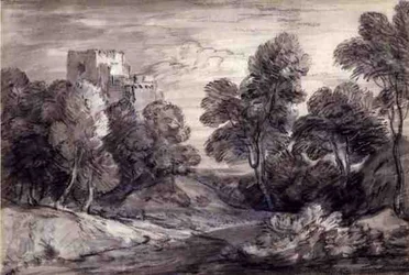 Paesaggio boscoso con un castello