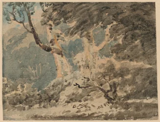 Il margine di un bosco