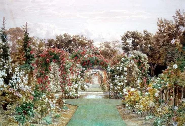 Crimson Rambler a Clandon Park