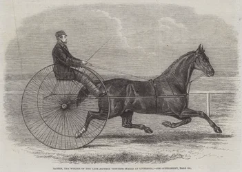 Jackey, il vincitore delle ultime Aintree Trotting Stakes a Liverpool