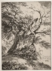 Specimens of Polyautography: Paesaggio con una quercia, 1803