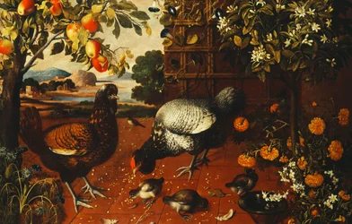 Un gallo, una gallina e dei pulcini in un cortile