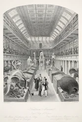 Museo Hunterian, Royal College of Surgeons, da 