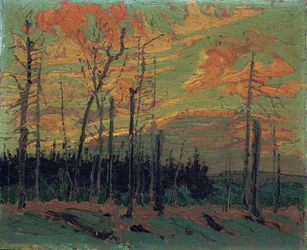 Terra bruciata al tramonto