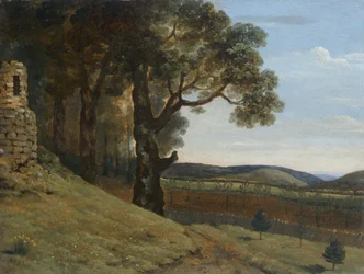 Campo vicino a Pencerrig