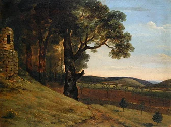 Paesaggio gallese con querce vicino a una rovina