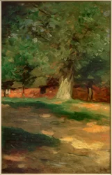 Cascina dietro un grande albero