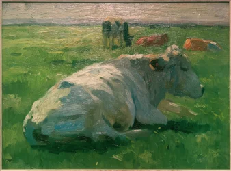 Mucca sdraiata