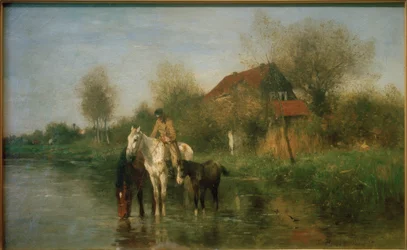 Cavalli al fiume
