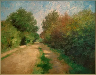 Sentiero soleggiato