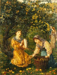 Raccolta di mele