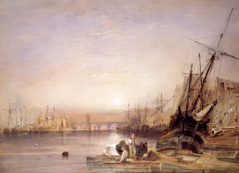 Immagine sconosciuta