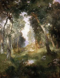 Radura nella foresta, Santa Barbara, 1918