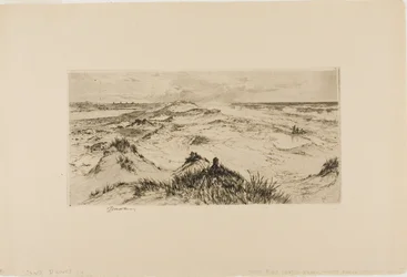 Guardando oltre le dune di sabbia - Easthampton