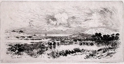 Montauk Ponds, Long Island