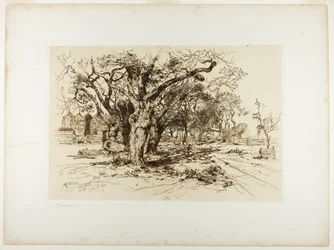 Frutteto di Mulford, Easthampton