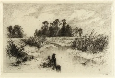 Vicino a Easthampton, L.I. (Passaic Meadows)