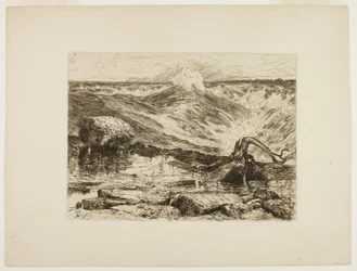 Le rapide sopra il Niagara