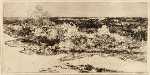 Il mare risonante