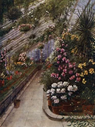 Giardini di Kew: La serra