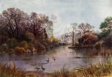 Giardini di Kew: Il lago