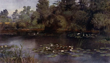 Giardini di Kew: Lo Stagno delle Ninfee