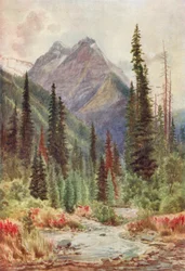 Picco di Ross, monti Selkirk, British Columbia (litografia a colori)