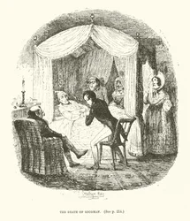Illustrazione per Valentine Vox