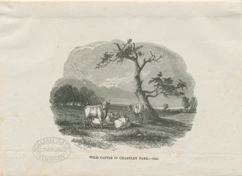 Chartley Hall - Parco