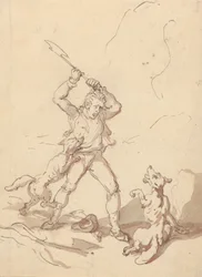 Disegno d