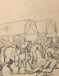 Disegno di album