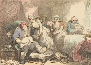 Conforto nella gotta, 1785