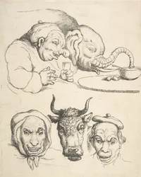 Anatomia comparata