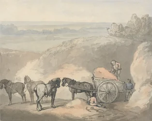 Cavalli e un carro in una cava di sabbia