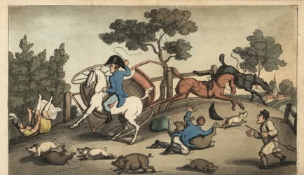 Johnny e una signora si schiantano con una carrozza in un branco di maiali. Incisione a mano colorata su rame di W. Read dopo un