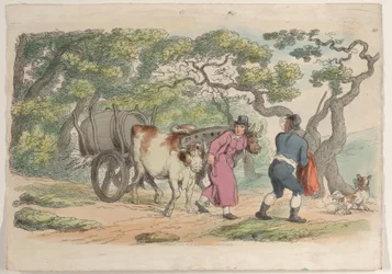 Tavola 40, da World in Miniature, 1816