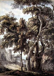 Studio di alberi