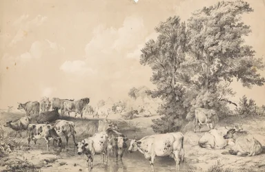 Una mandria di bovini sulla riva di un fiume